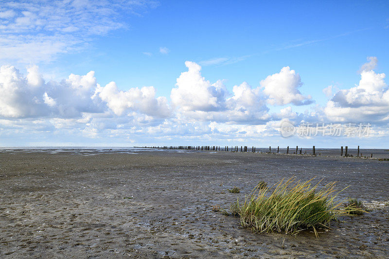 Wad或wadden空景观在瓦登海自然保护区'de wadden '与潮汐沙滩在荷兰北部